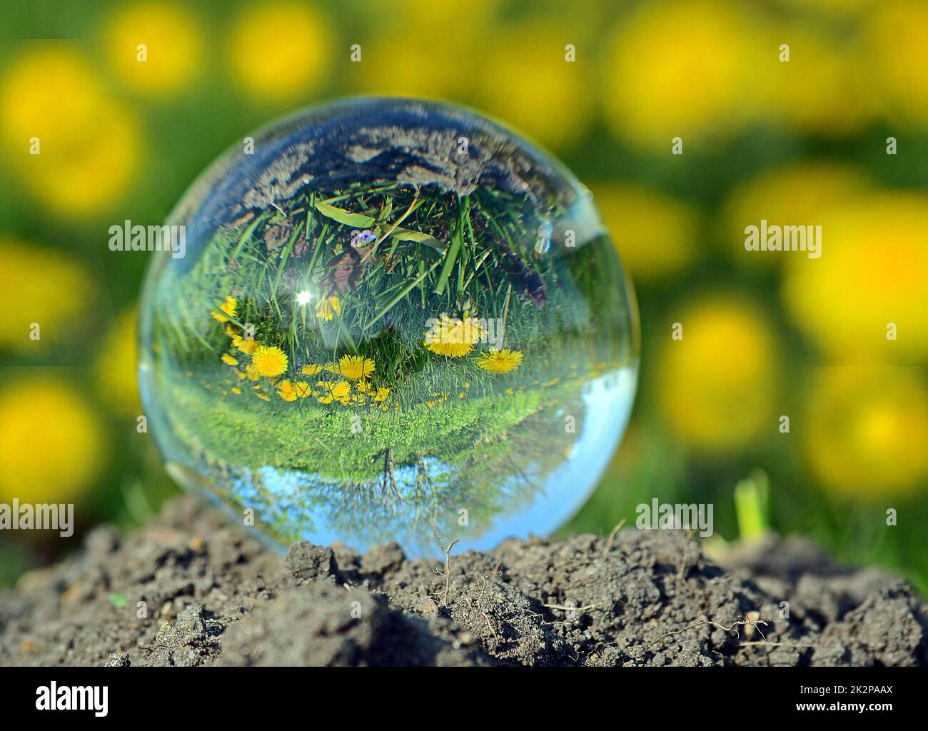 glass sphere Stock Photo