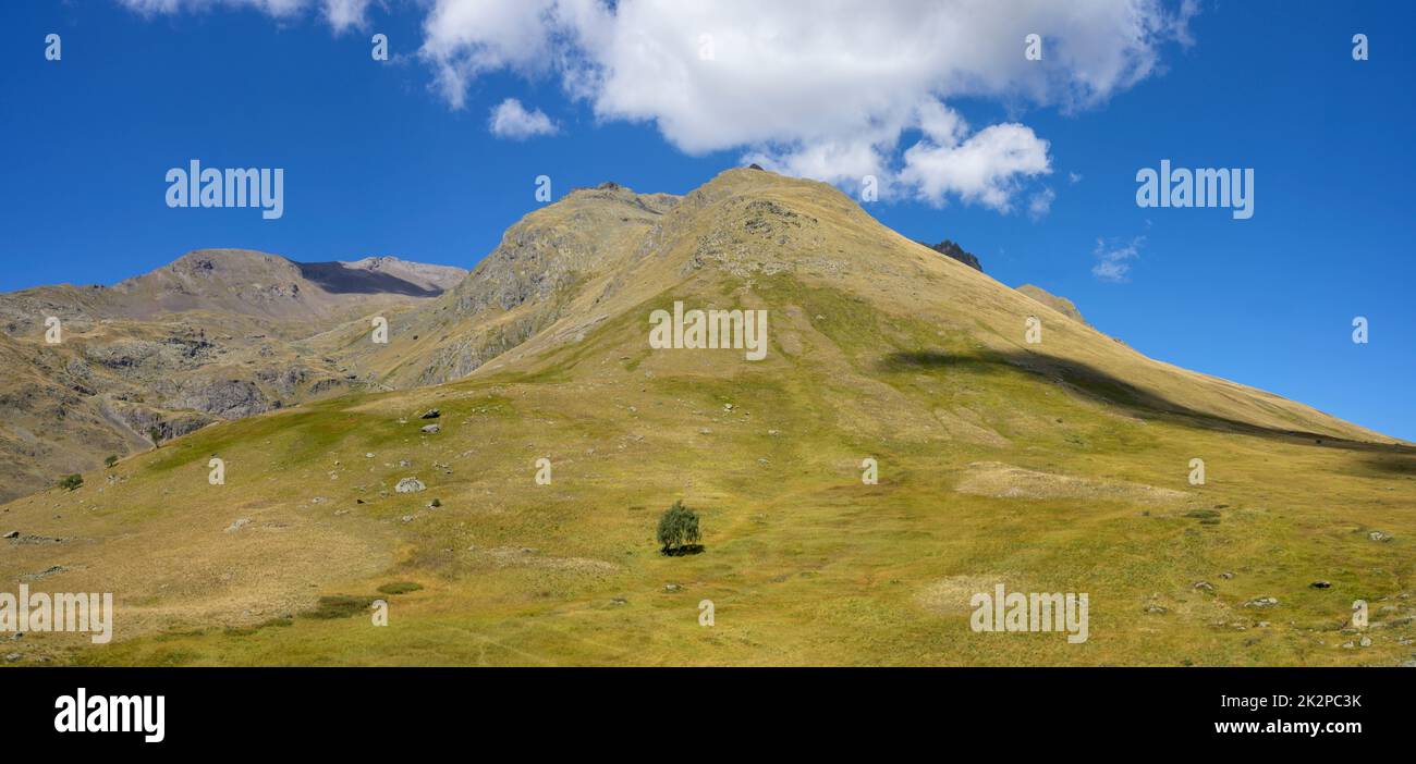 The lone tree on the Col de Sarenne, Grandes Rousses massif, French Alps Stock Photo