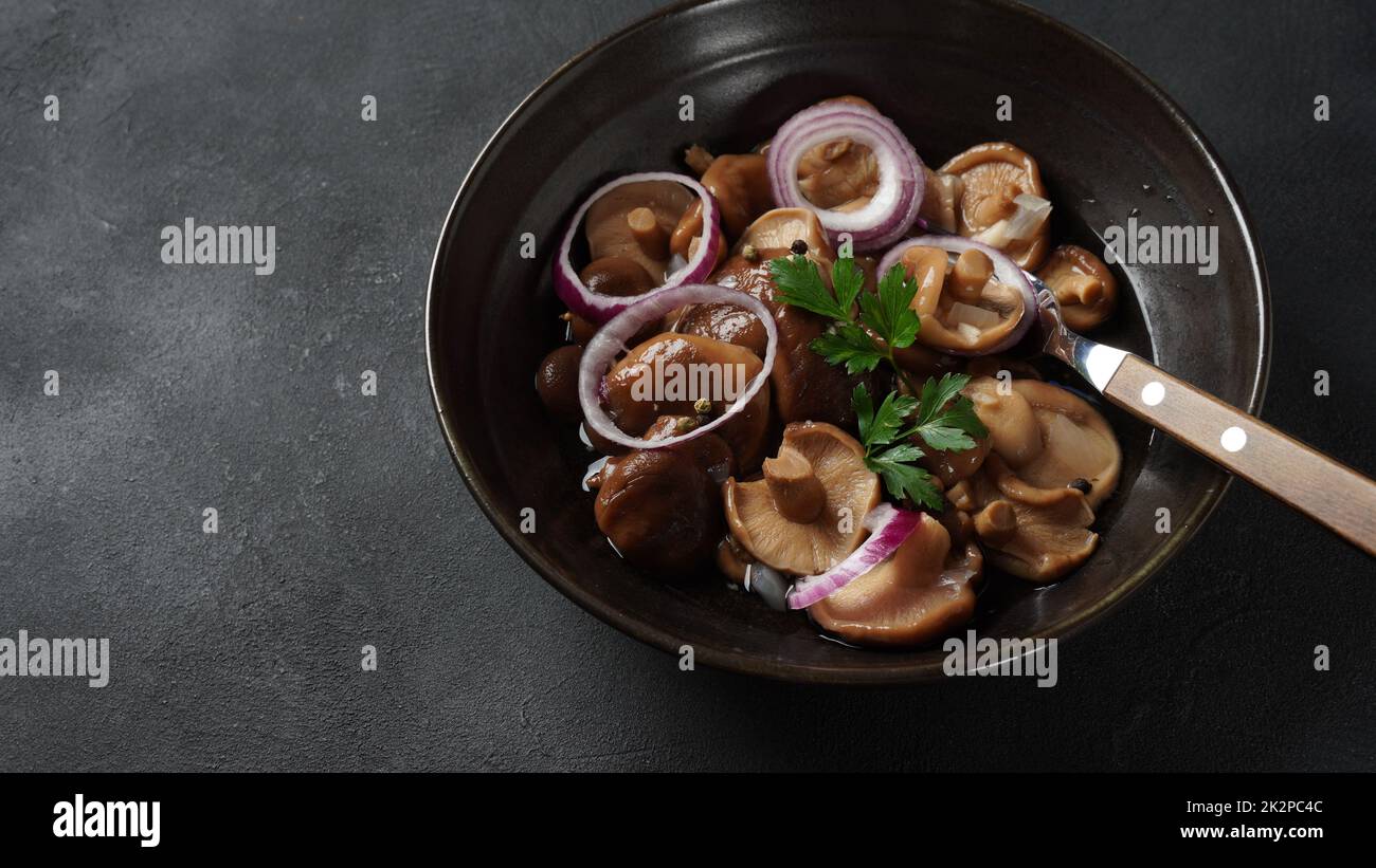 Salted mushrooms, Lactarius resimus, autumn harvest. Homemade pickled mushrooms, marinated red onion rings pepper, garlic, and bay leaf. Salted Lactarius resimus with oil and fresh chopped dill Stock Photo