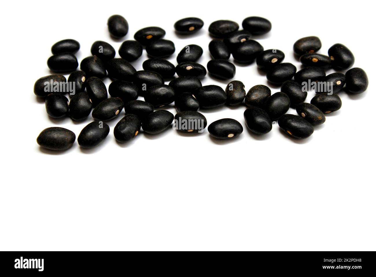 Black bean isolated on the white background Stock Photo