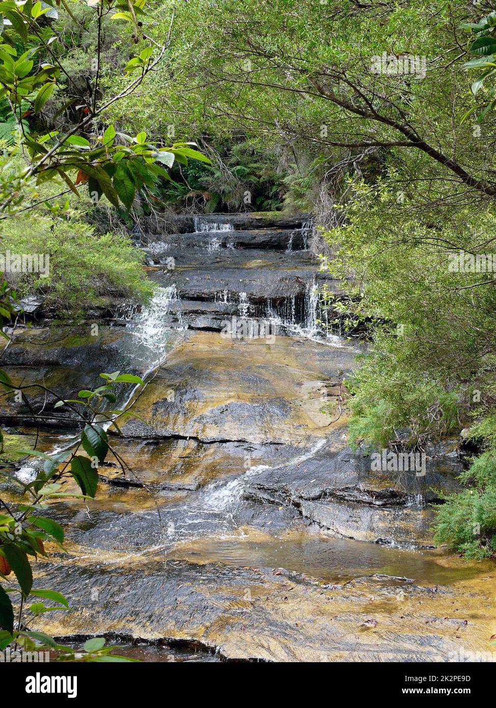 A view of the Leura Cascades in the Blue Mountains Stock Photo
