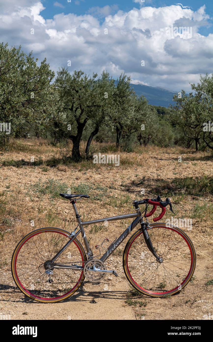 Airborne titanium road bike in an olive grove beneath Mont Ventoux, Provence, France. Stock Photo