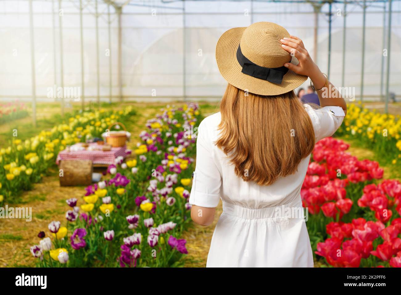 Beautiful girl holds straw hat walking between flowers ready for picnic on sunset. Back view. Stock Photo