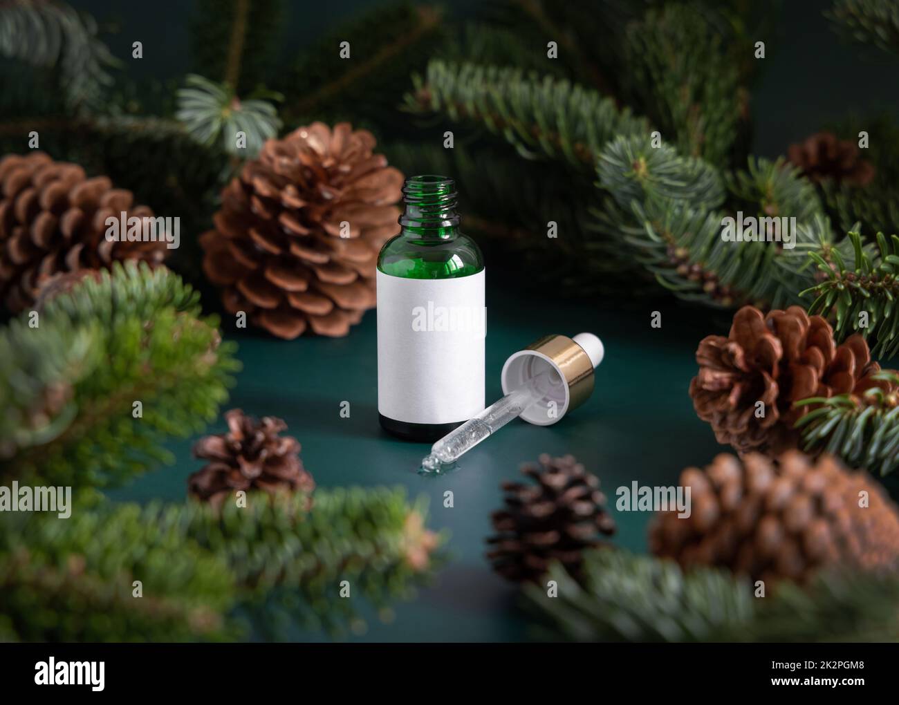 Green Pipette Dropper Bottles with blank label near fir branches and pine cones close up. Brand packaging mockup. Skincare beauty product, cream or se Stock Photo