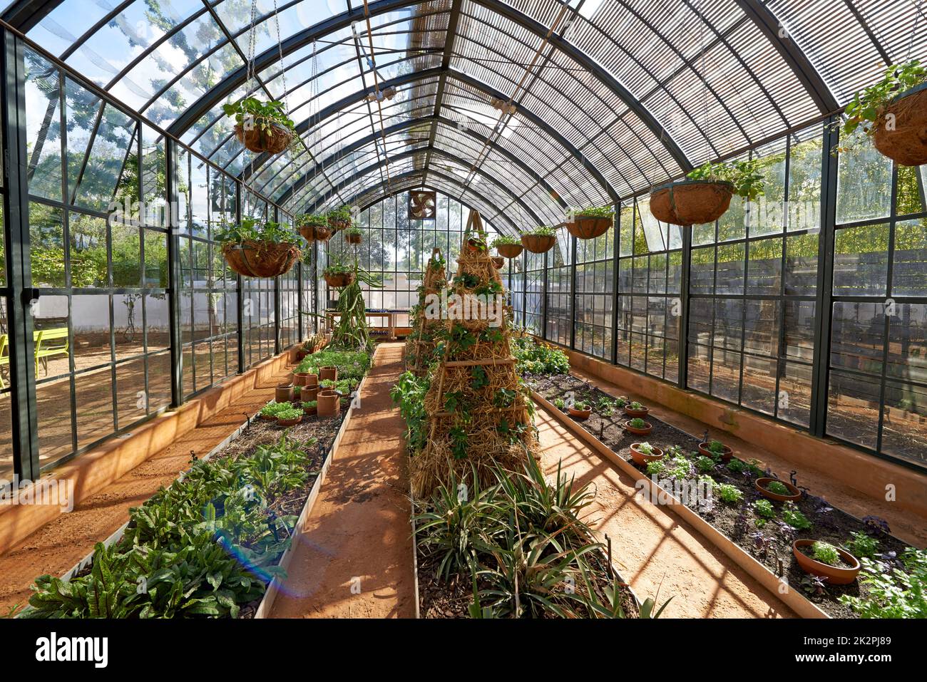 Creating the perfect environment for growth. A beautiful greenhouse