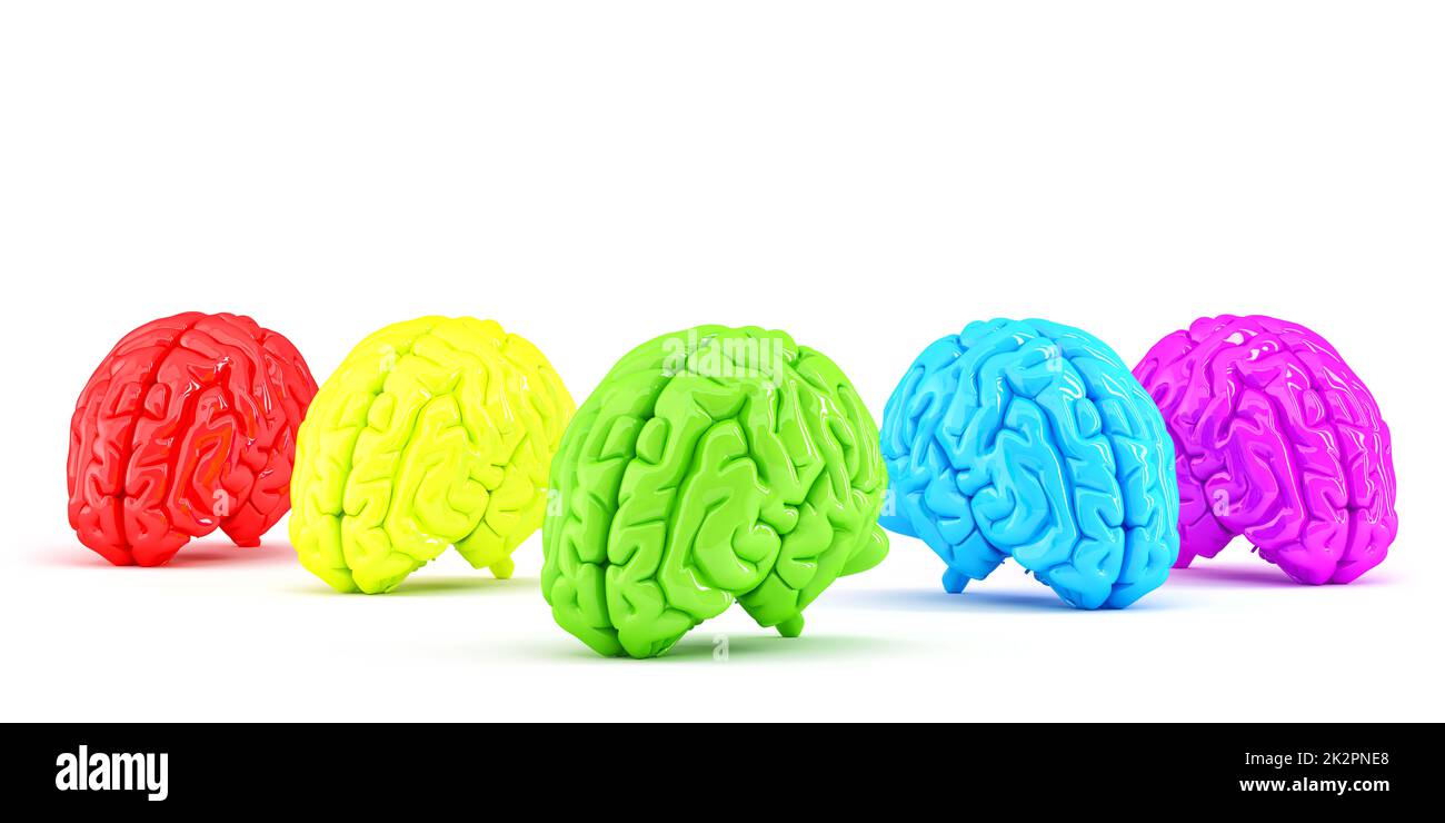 Colored human brains. Creative concept. Isolated. Contains clipping path Stock Photo