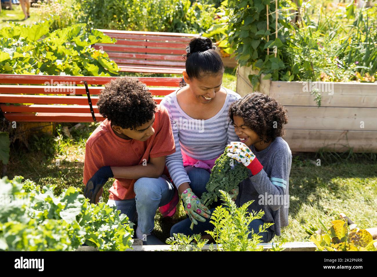 Community garden children hi-res stock photography and images - Alamy