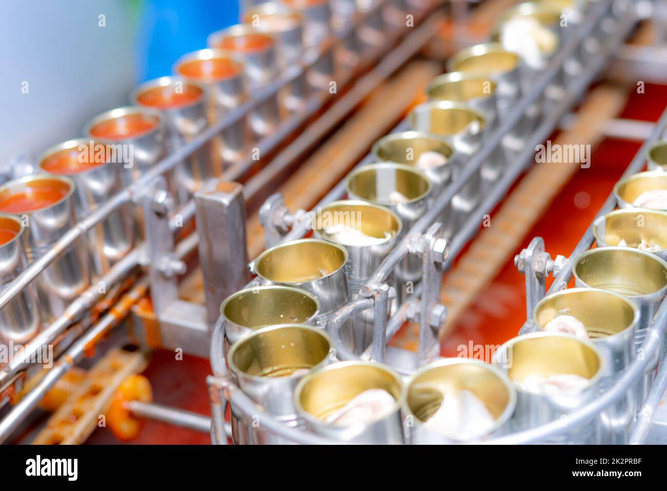 Canned fish factory. Food industry.  Sardines in red tomato sauce in tinned cans at food factory. Food processing production line. Food manufacturing industry. Many cans of sardine on a conveyor belt. Stock Photo