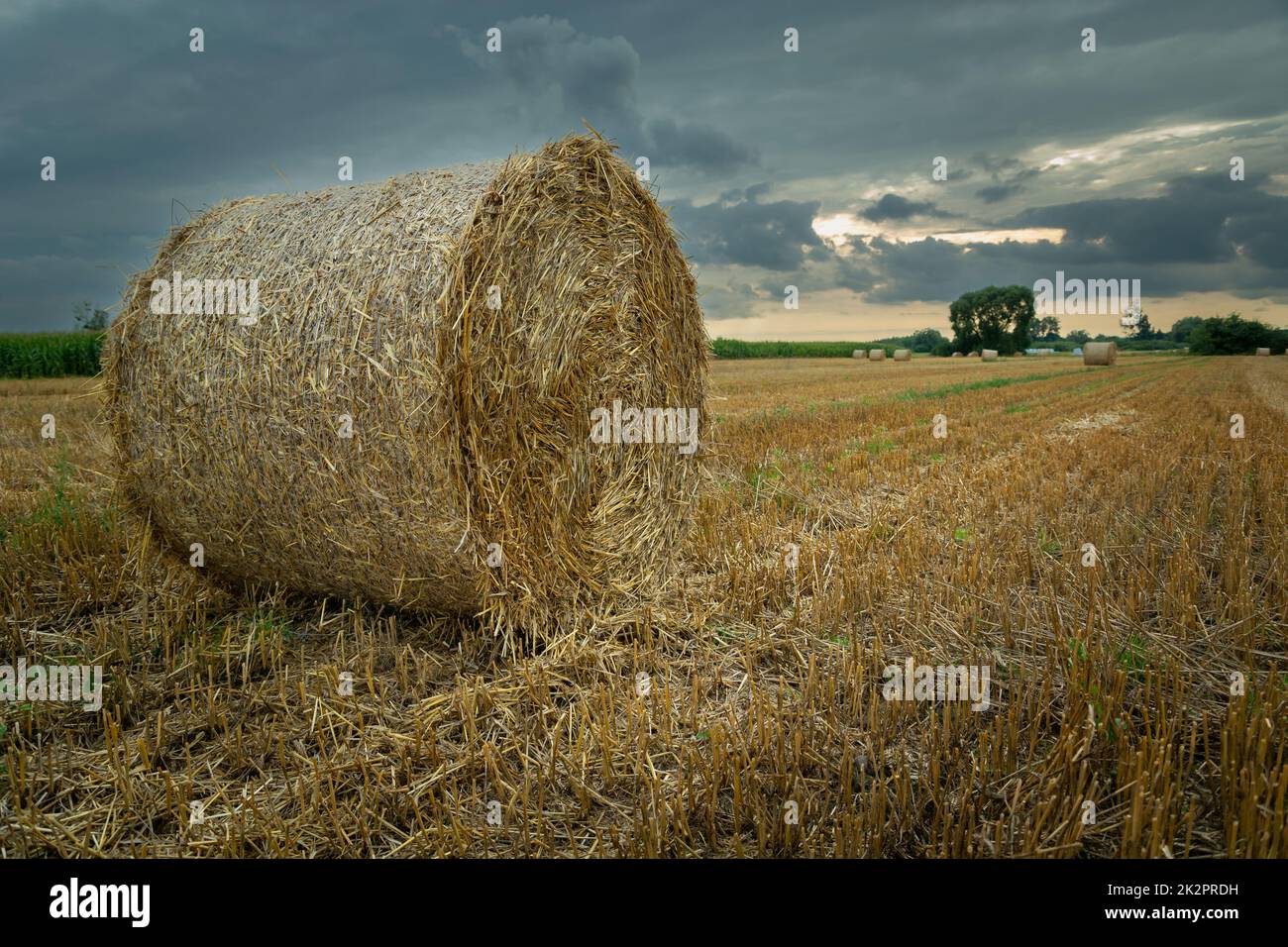Huge bale of hay in the field and cloudy sky Stock Photo