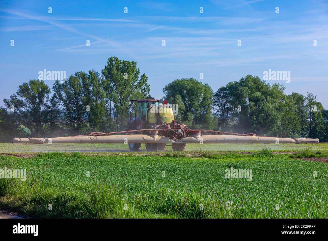 tractor spraying on a salad field outdoors Stock Photo