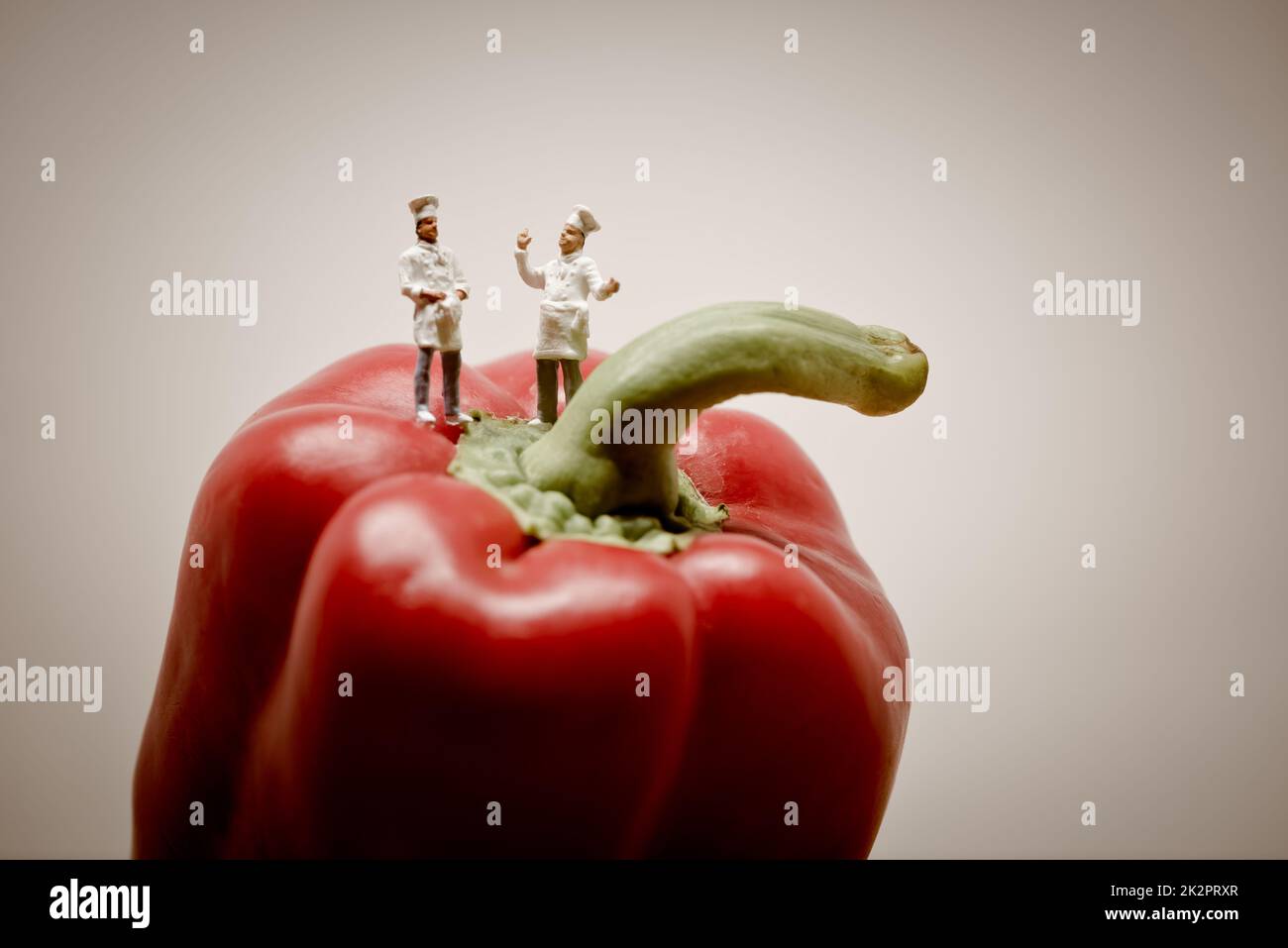 Chefs talking. Macro photo Stock Photo - Alamy