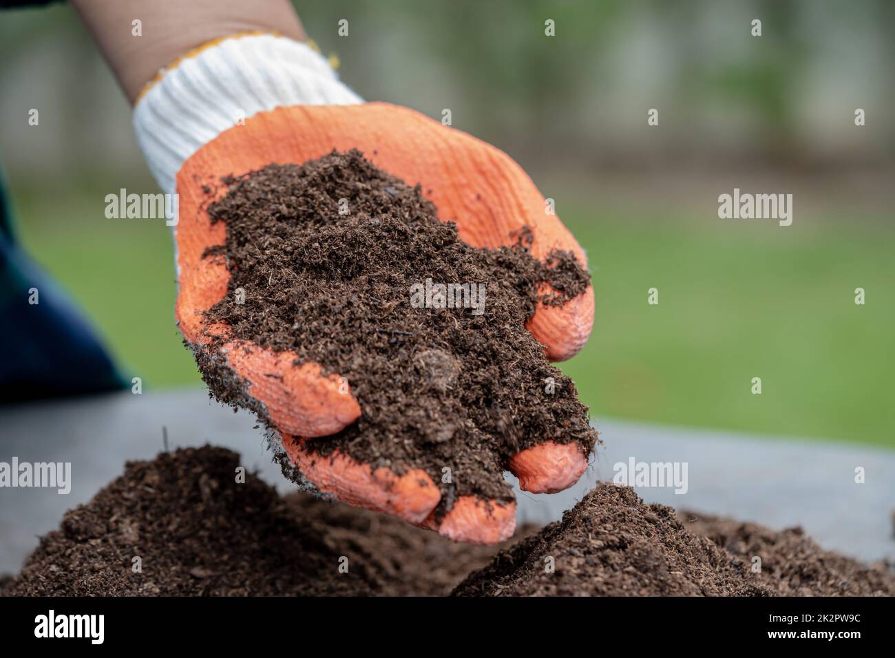 Hand holding peat moss organic matter improve soil for agriculture organic  plant growing, ecology concept. 21394166 Stock Photo at Vecteezy