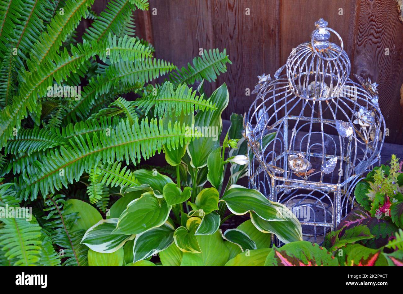 Decorative bird cage in green garden Stock Photo Alamy