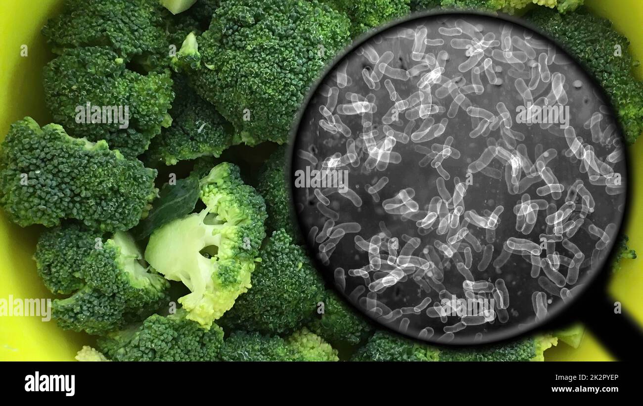 Searching for bacteria in vegetables Stock Photo Alamy