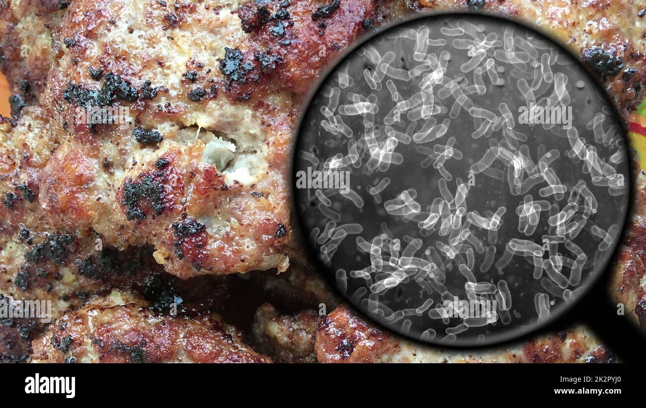 Searching for bacteria in meat Stock Photo Alamy