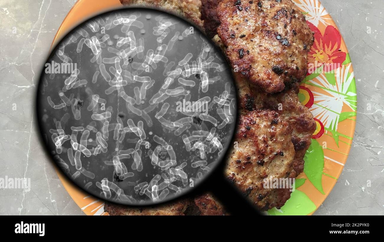 Searching for bacteria in meat Stock Photo Alamy
