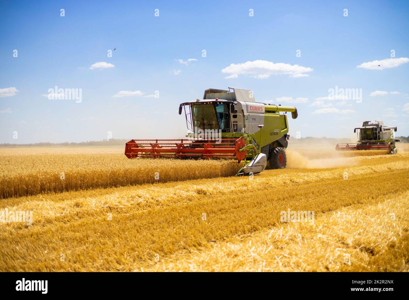 A combine harvester harvesting ripe golden wheat on the field Stock ...