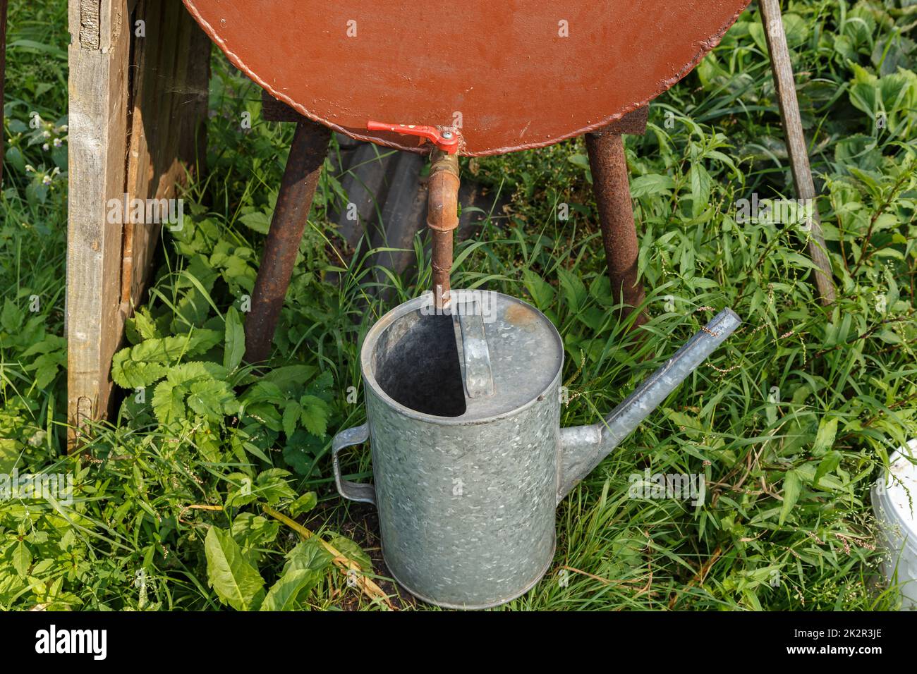 Rain barrel and watering can in vegetable garden. Watering the garden