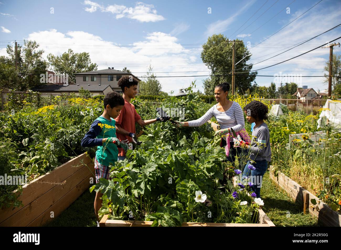 Garden in working to children hi-res stock photography and images - Alamy