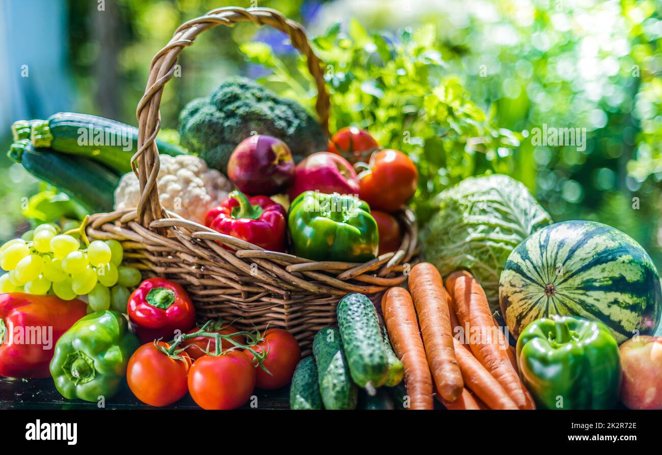Variety of fresh organic vegetables and fruits in the garden Stock ...