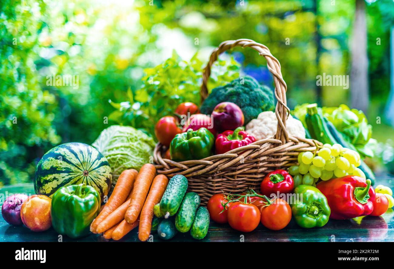 Variety of fresh organic vegetables and fruits in the garden Stock ...