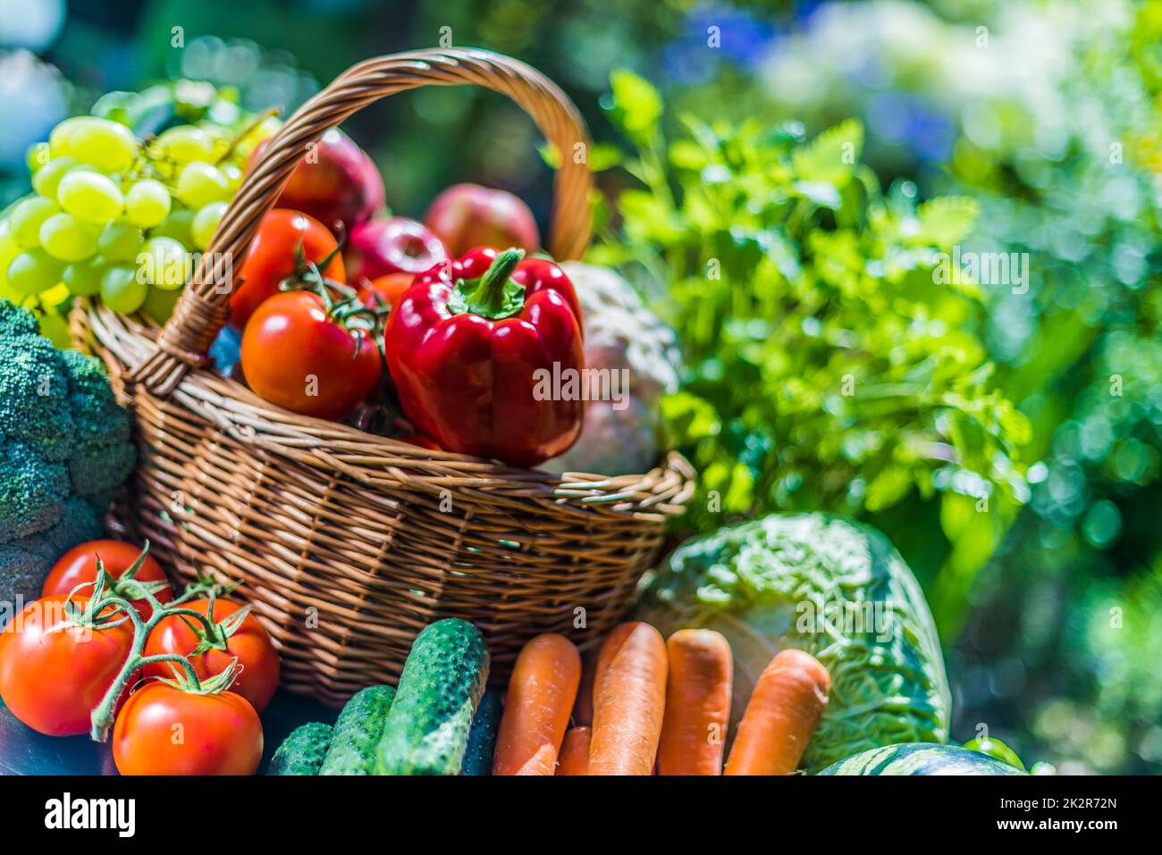 Variety of fresh organic vegetables and fruits in the garden Stock ...