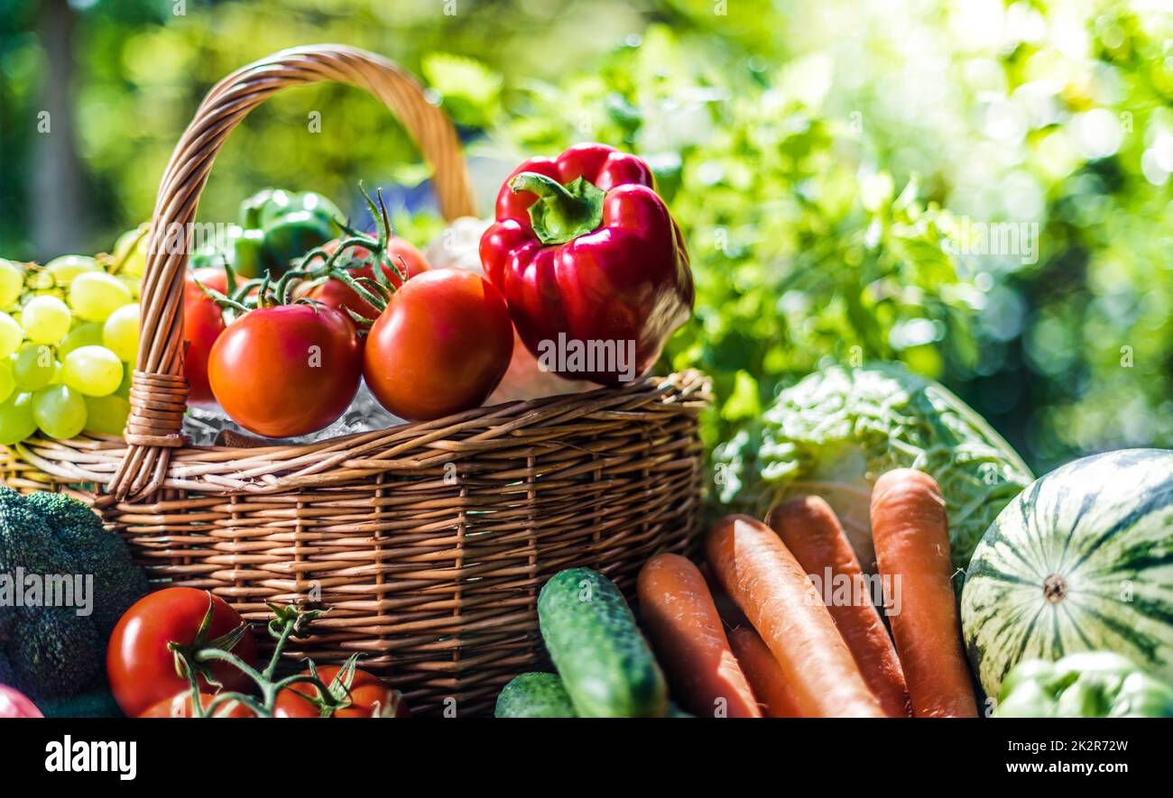 Variety of fresh organic vegetables and fruits in the garden Stock ...