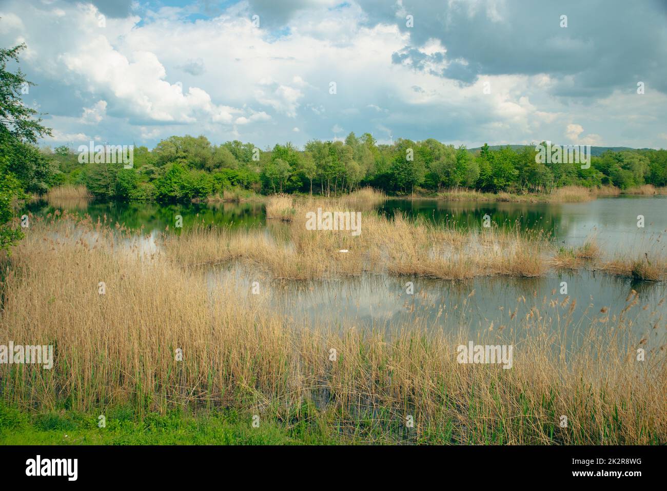 Wetland Haff Reimech in Luxembourg, swamp habitat, nature reserve and biotope Stock Photo