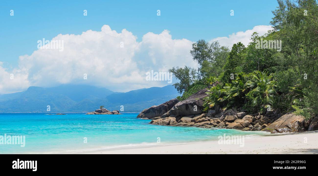 top soleil beach grill & bar