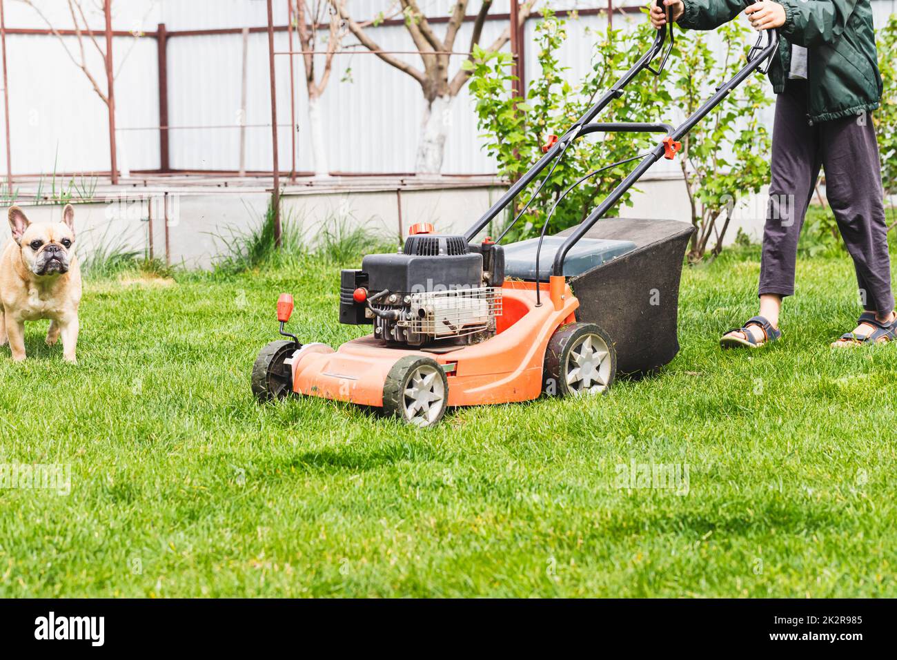 Lawn mover on green grass in sunny day. Lawn mover on green grass in modern garden. Machine for cutting lawns. Stock Photo