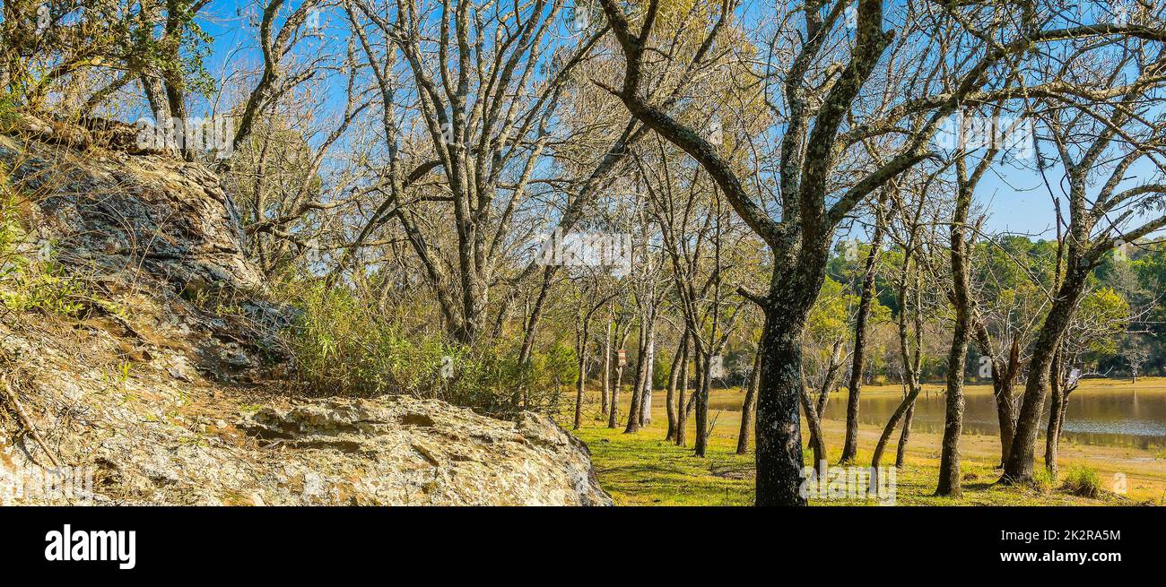 Bartolome Hidalgo Park, Flores, Uruguay Stock Photo