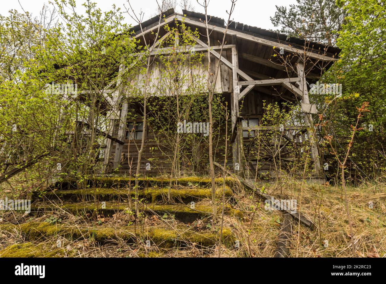 overgrown wooden house from a abandoned western town Stock Photo