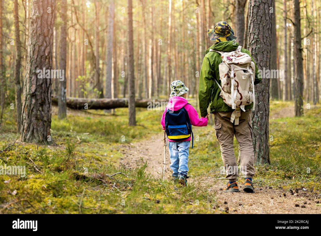 father and daughter holding hands walk together on forest trail . copy space Stock Photo