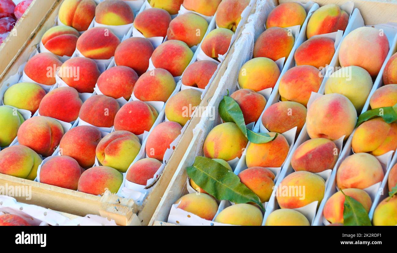 Ripe peaches (from Lat. Persicus) of the new harvest Stock Photo