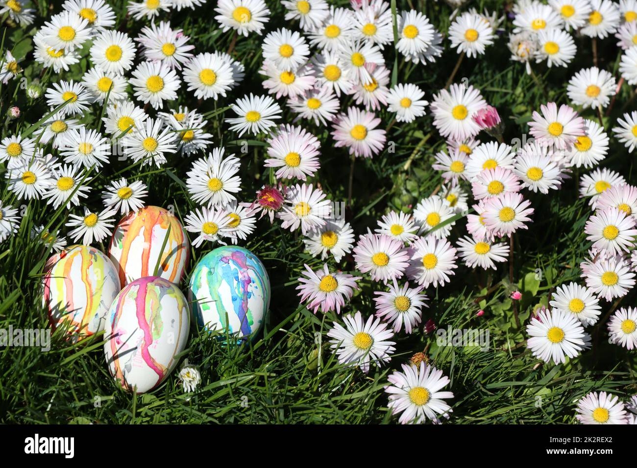 handbemalte Ostereier zwischen Gänseblümchen auf einer Wiese, Nordrhein-Westfalen, Deutschland, Weilerswist Stock Photo
