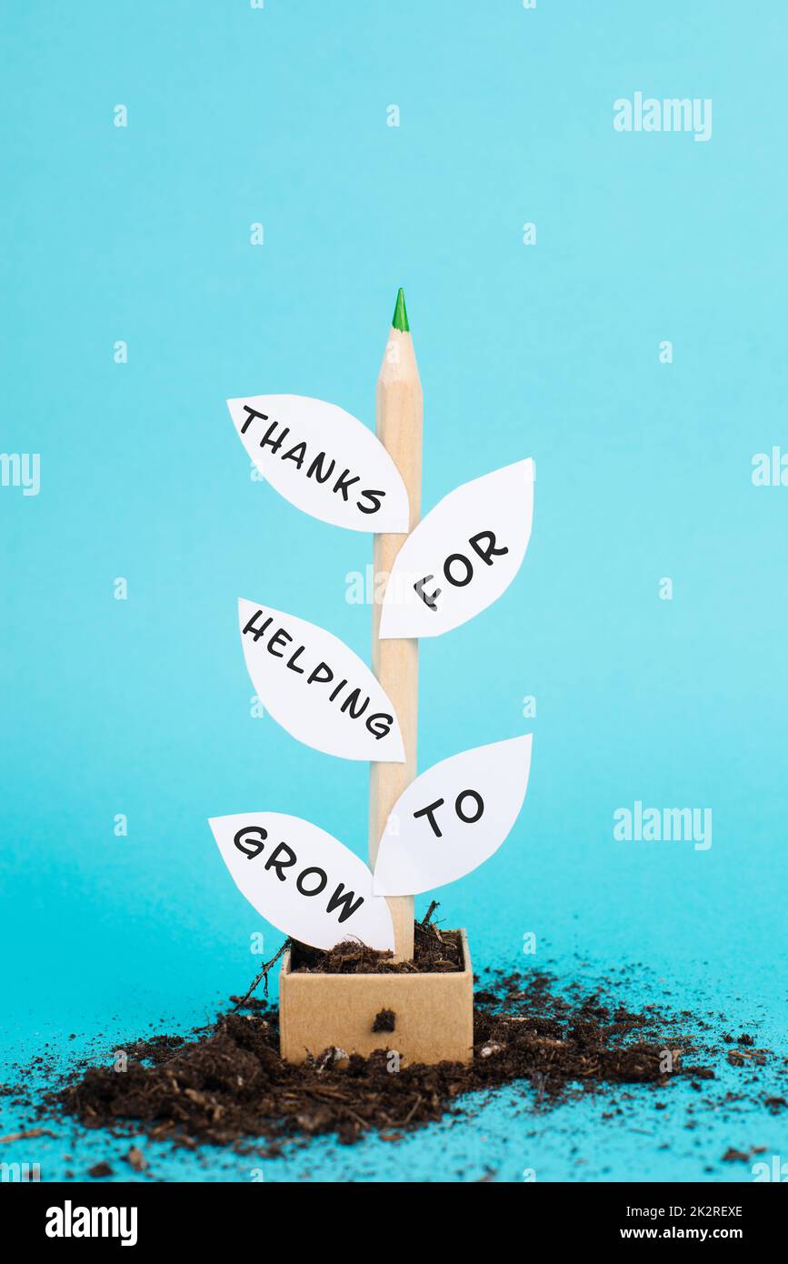 Plant made from a pencil and paper, the phrase thanks for helping to grow is standing on the leaves, thank you card, education and business concept Stock Photo