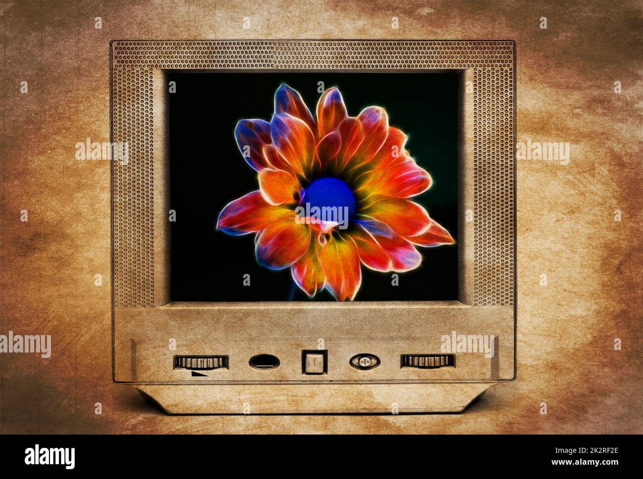 Fractal flower on TV Stock Photo Alamy