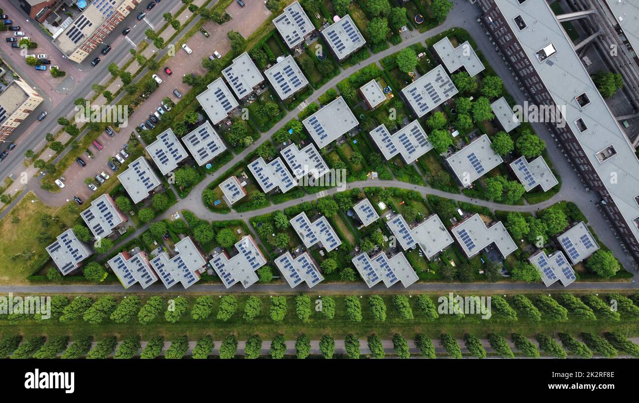 A bird's eye view of a lovely neighborhood with lush green trees ...