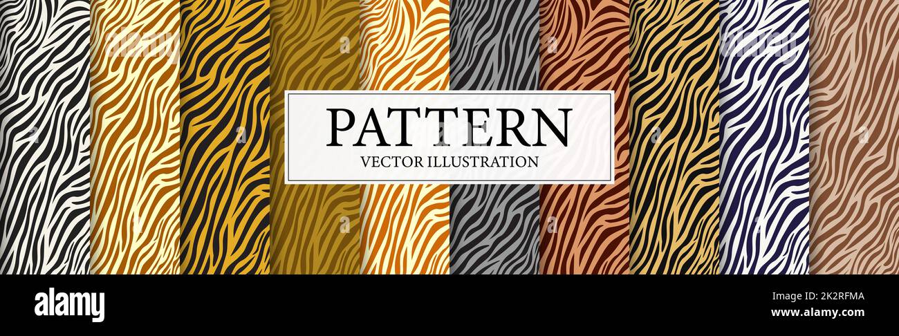 Set of 10 patterns of multi-colored Zerba skins - Vector Stock Photo