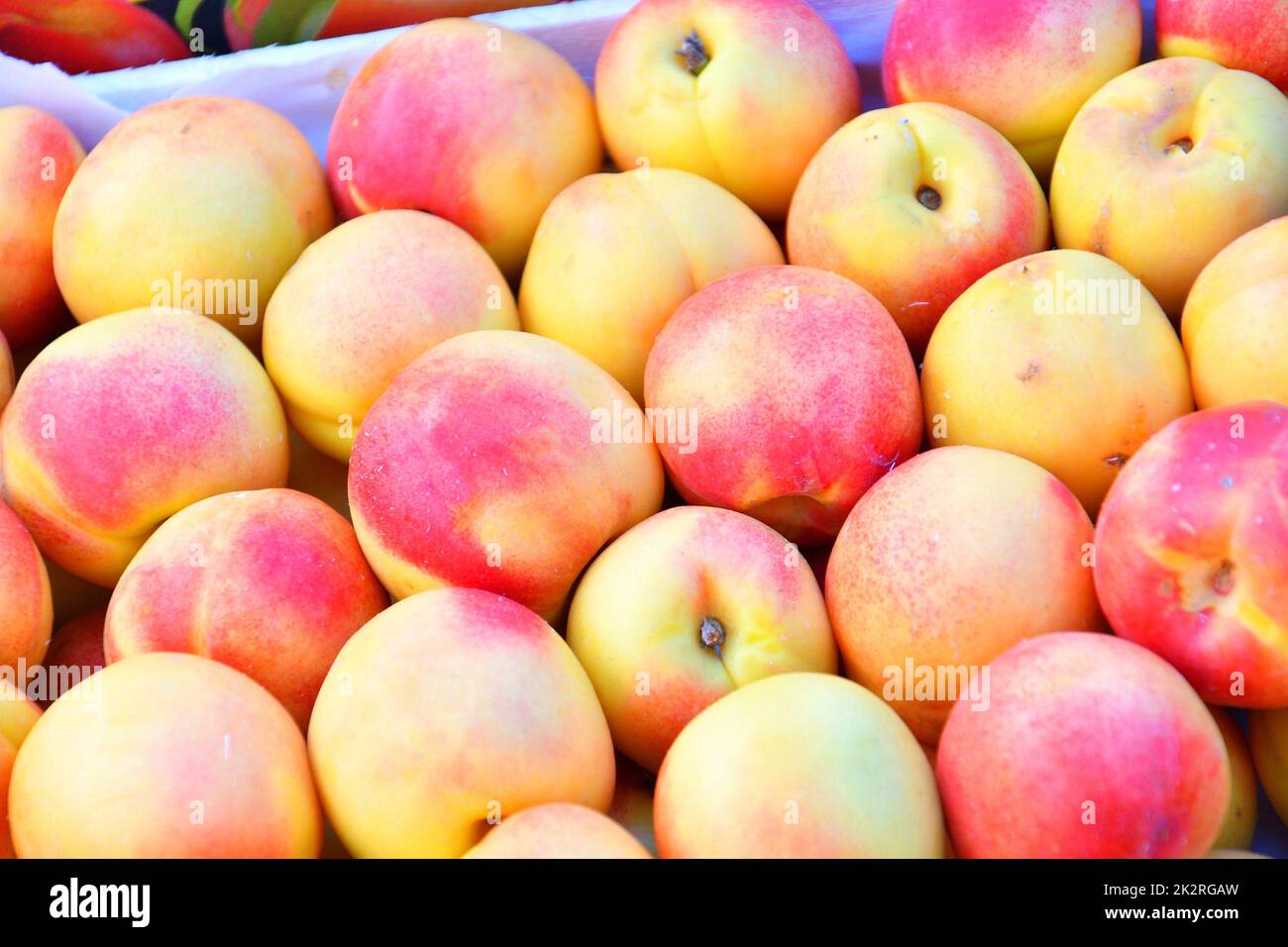 Ripe Nectarines (Latin Prunus persica) of the new harvest Stock Photo Alamy