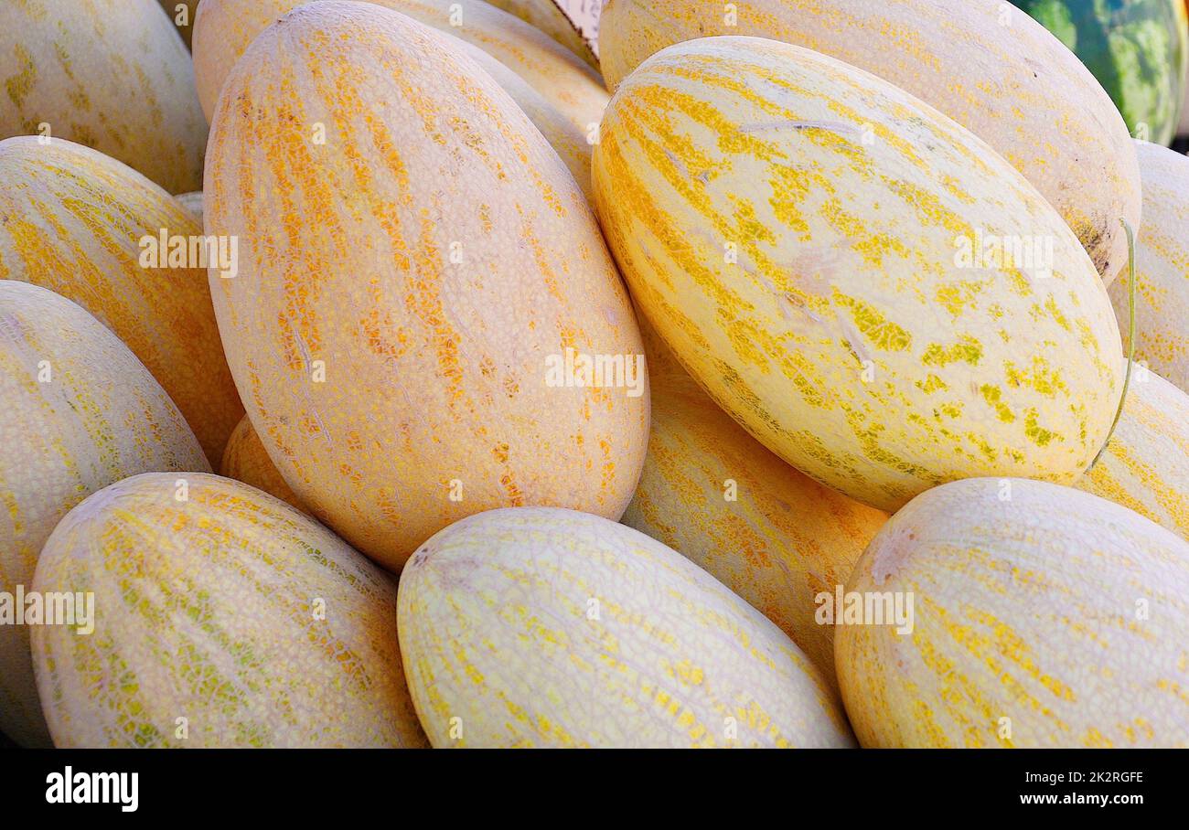 Ripe melons (Latin Cucumis melo) of the new harvest Stock Photo