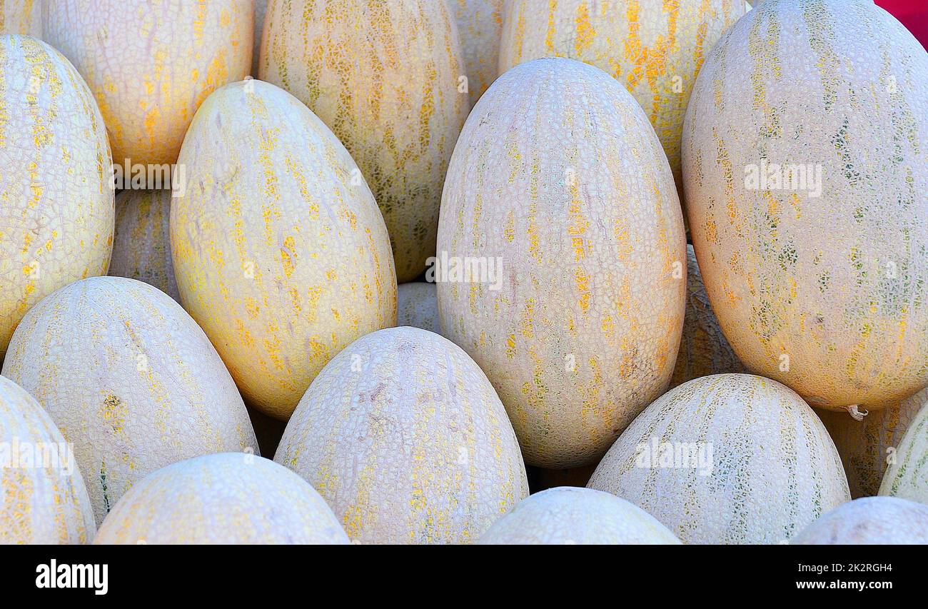 Ripe melons (Latin Cucumis melo) of the new harvest Stock Photo