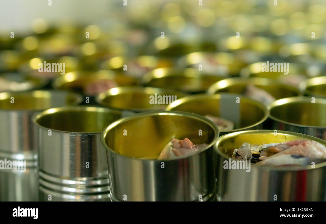 Canned fish factory. Food industry.  Many can of sardines on a conveyor belt. Sardines in tinned cans at food factory. Food processing production line. Food manufacturing industry. Cans industry. Stock Photo