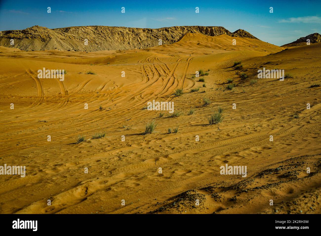 Arabian desert image Stock Photo - Alamy