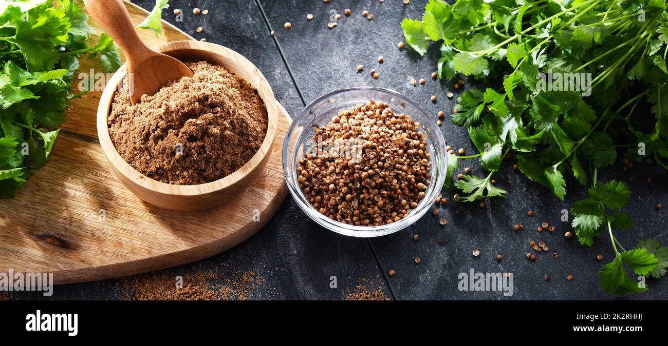 Ground coriander, its dried seeds and fresh leaves Stock Photo Alamy