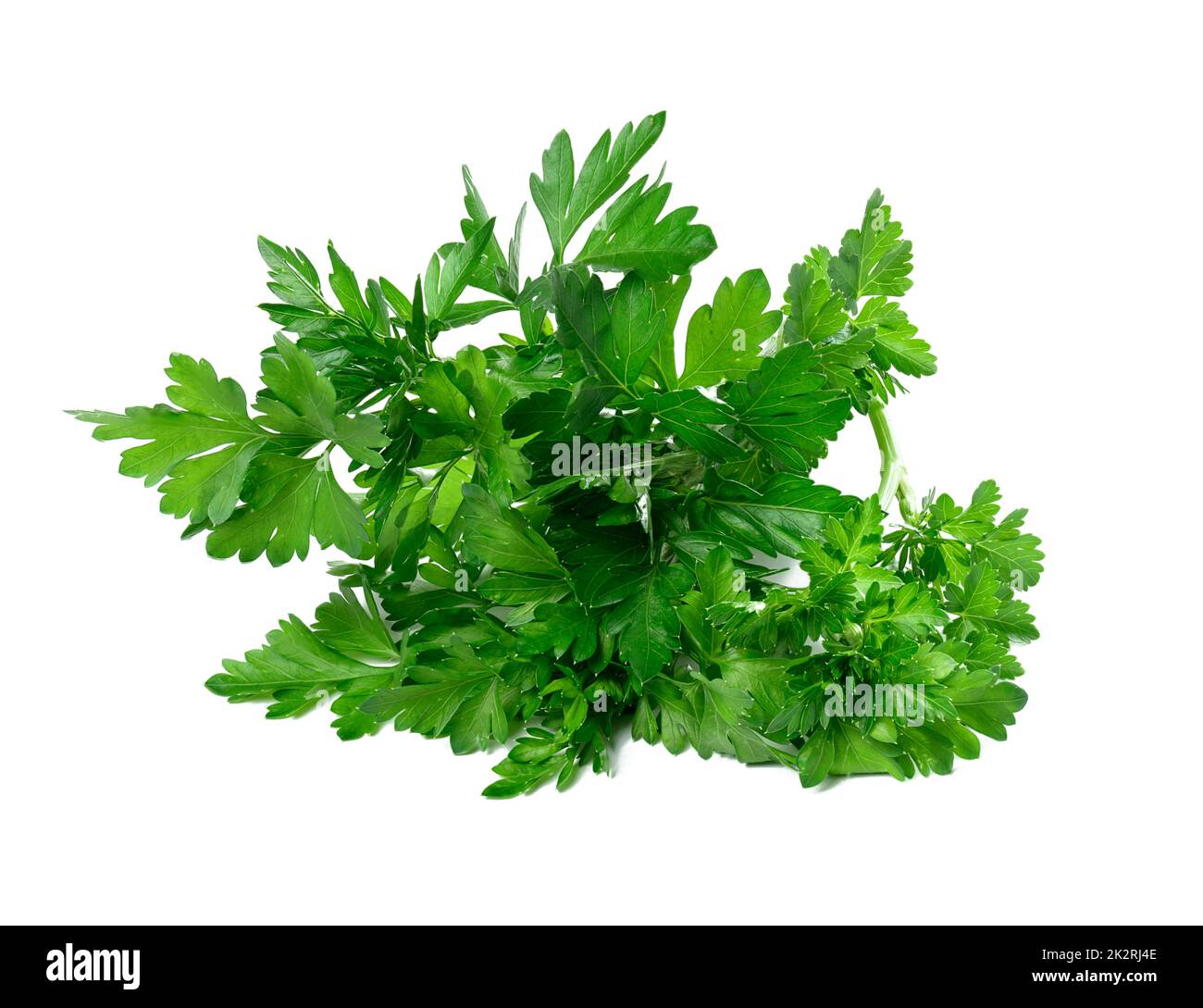 https://c8.alamy.com/comp/2K2RJ4E/bunch-of-fresh-green-parsley-isolated-on-white-background-2K2RJ4E.jpg