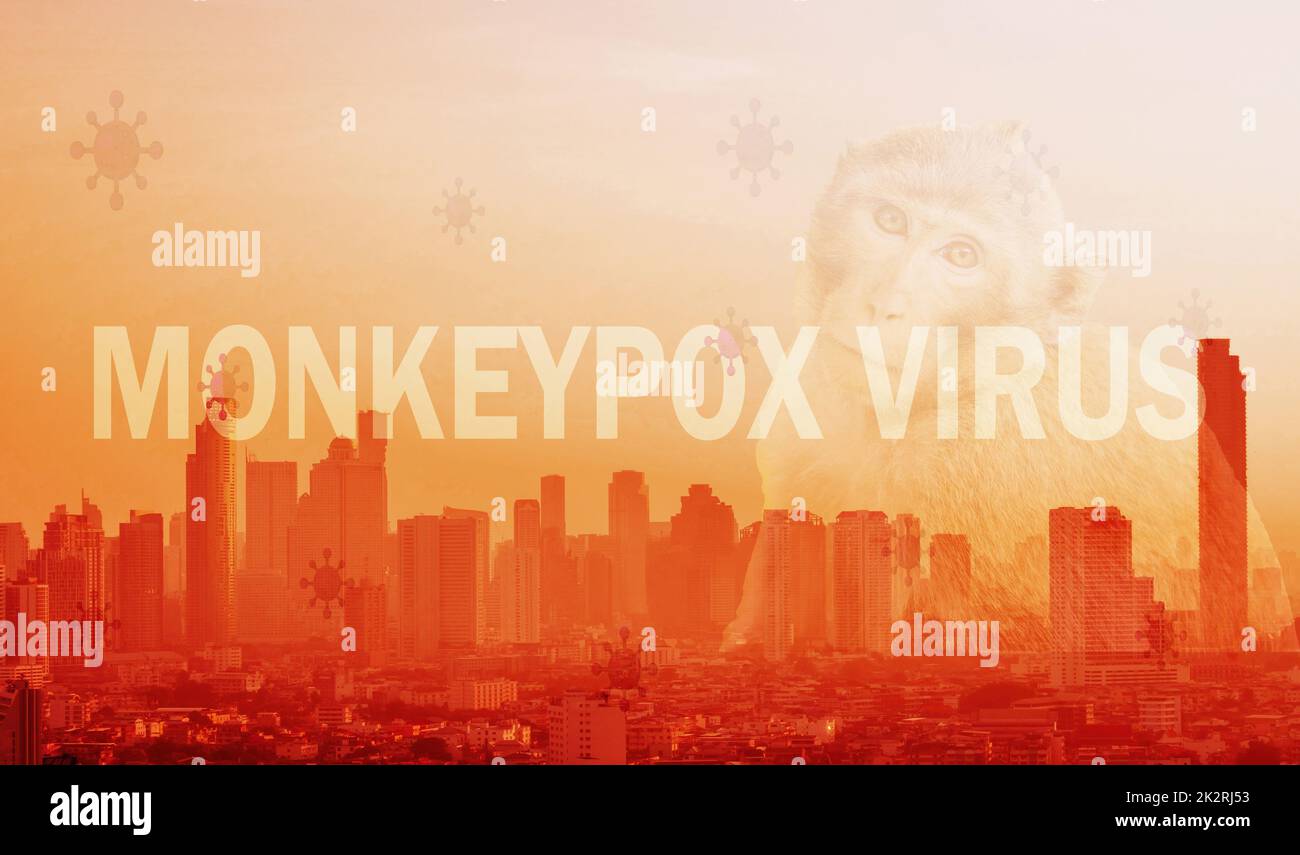 Monkeypox outbreak concept. Monkeypox is caused by monkeypox virus. Monkeypox outbreak prevention, management, and control of the city concept. Cityscape, monkey, and monkeypox virus background. Stock Photo