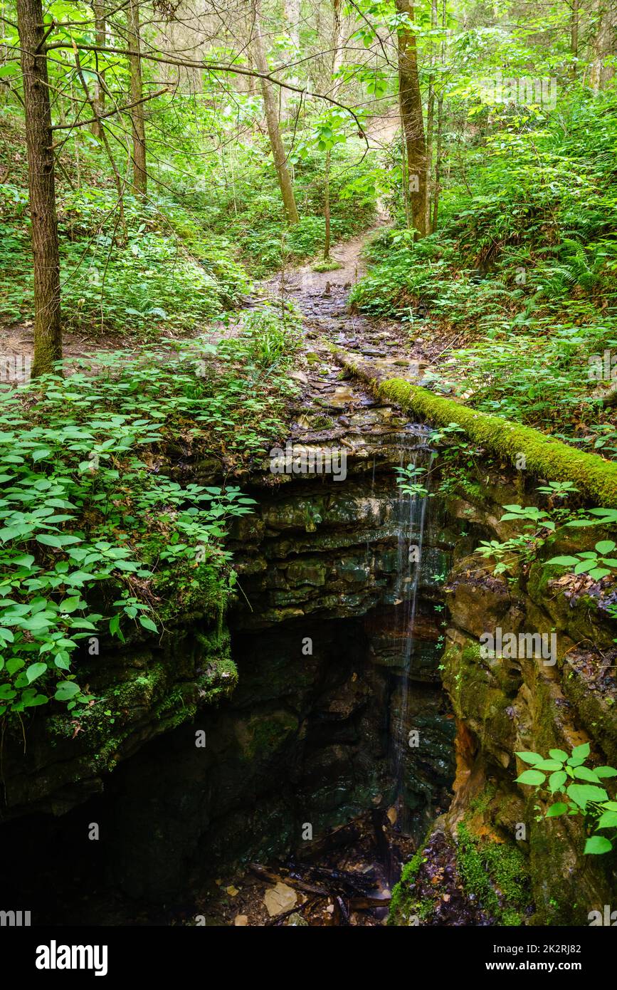 Sinkhole in Red River Gorge Stock Photo