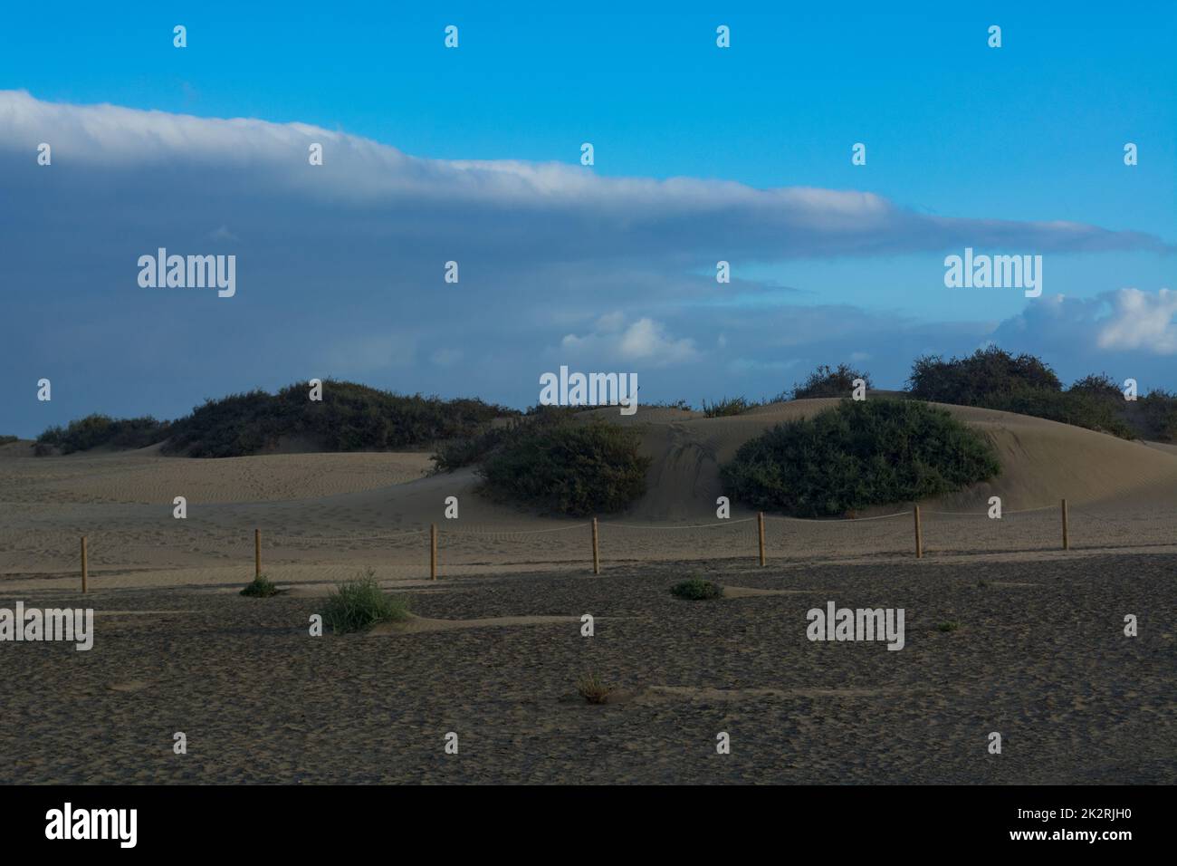 Wind sculpture Sand dunes, Maspalomas, Cran Canaria Stock Photo Alamy