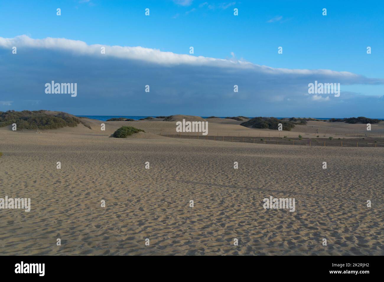 Wind sculpture Sand dunes, Maspalomas, Cran Canaria Stock Photo Alamy